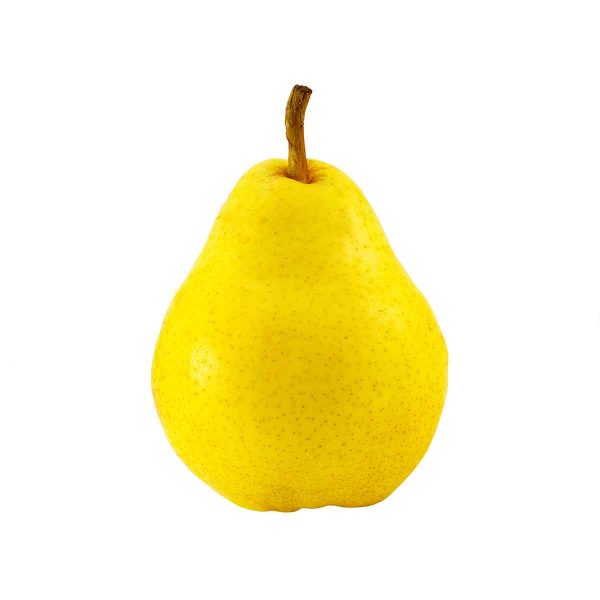 European pear