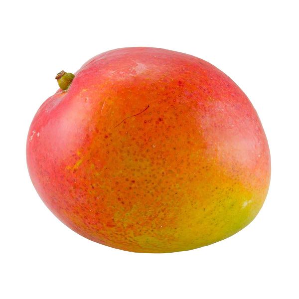 Delicious juicy mango