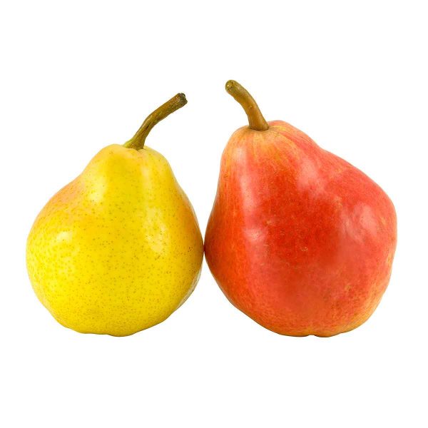 European pear